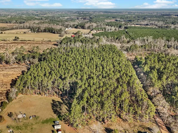 0 Hires Rd, Jesup, GA 31545