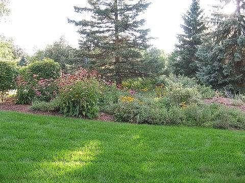 5th image of 30914 Lawn Dr