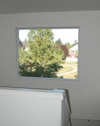 Park window from the loft