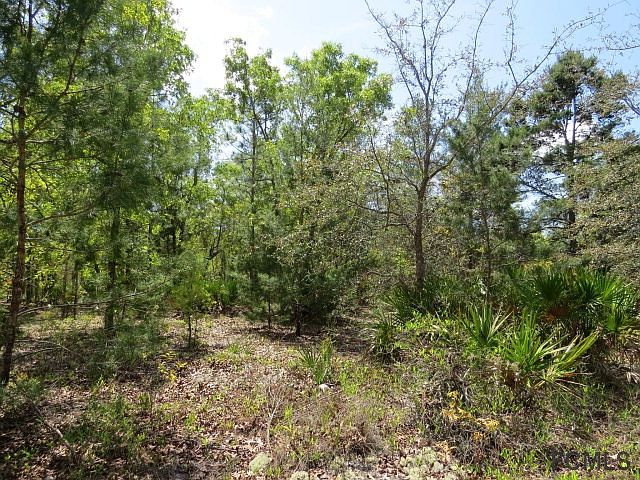 1st image of 119 Eagles Nest Trl