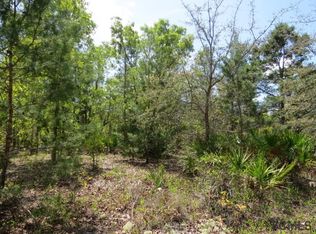 119 Eagles Nest Trl, Palatka, FL 32177