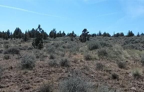 5th image of Tl 2200 Se Winchester Loop