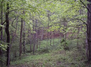 1369 Turkey Mountain Rd, Amherst, VA 24521