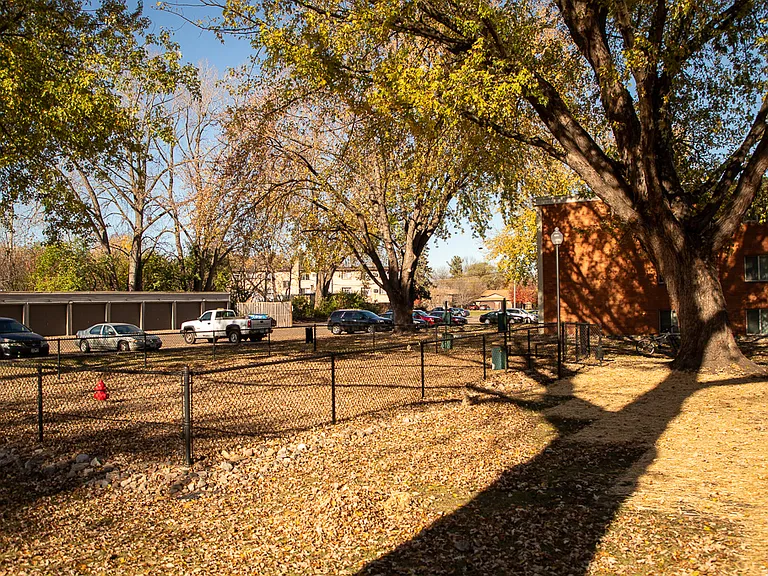 Regency Park — Photo 13