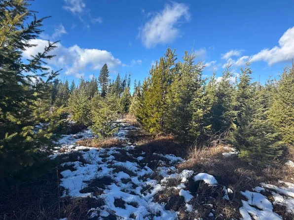 PARCEL 2 Old Deer Creek Rd, Orofino, ID 83544