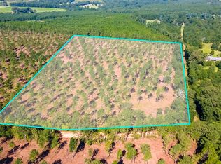LOT 3 Bluffwood Rd, Wagener, SC 29164