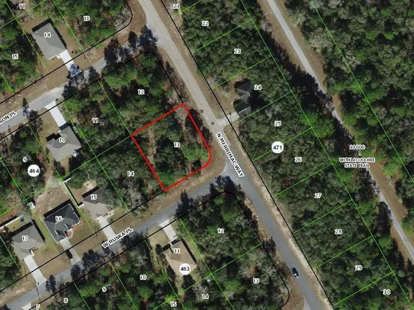 125 W Ruska Pl, Citrus Springs, FL 34434