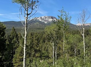 4911 Shadow Wood Ln, Island Park, ID 83429