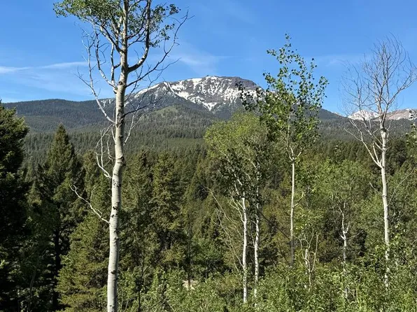 4911 Shadow Wood Ln, Island Park, ID 83429