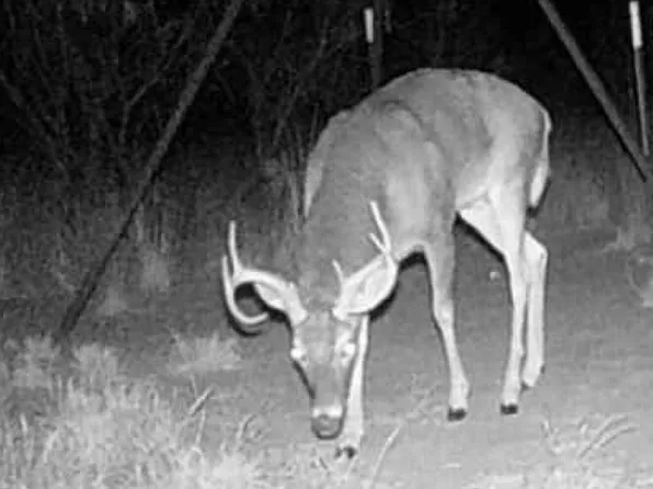 Glider Rd, Lamesa, TX 79331