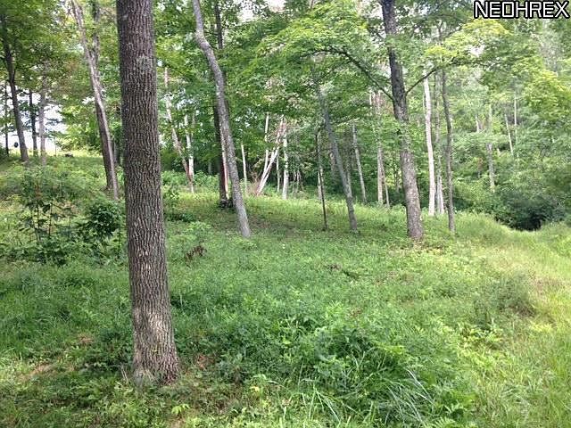 2nd image of 56369 Pfeffer Rd