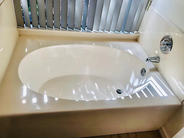 Master bathroom soaking tub