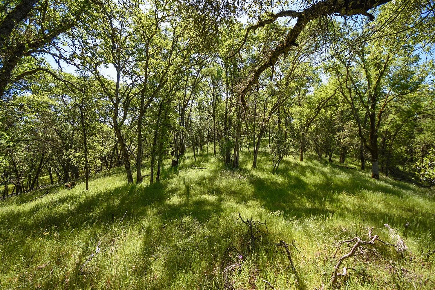 4 Old Rock Bridge Rd, Placerville, CA 95667 Zillow