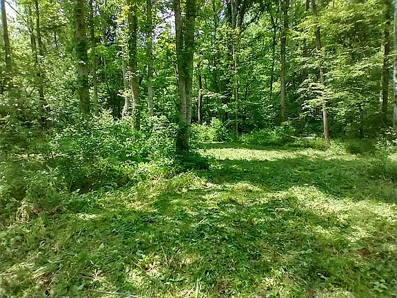 5th image of 7500 Antioch Rd