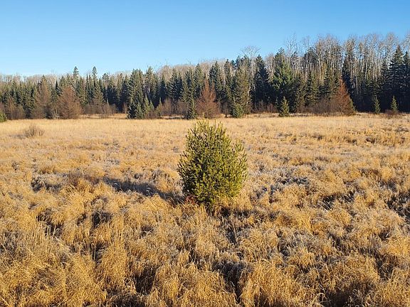 5th image of N Elbow Lake Rd