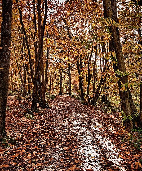 2nd image of 17436 Claggett Landing Rd