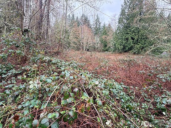 4th image of 0 xxxx 238th Avenue NE