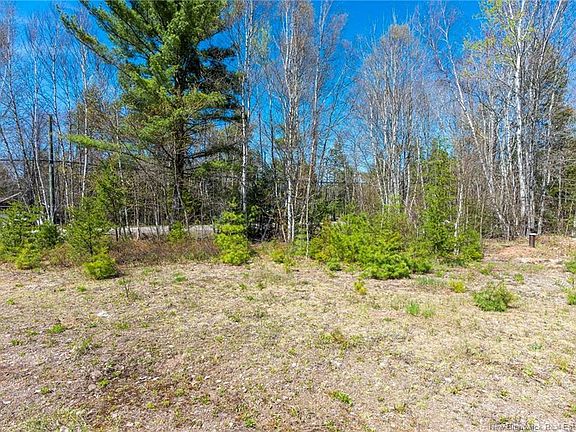 5th image of 2 Niagara Rd Lot 14