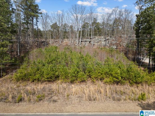 0 Heritage Rd #1, Oneonta, AL 35121