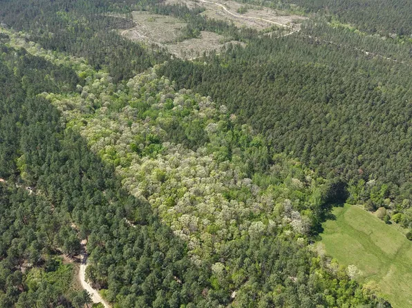 Obar Ln, Langley, AR 71952