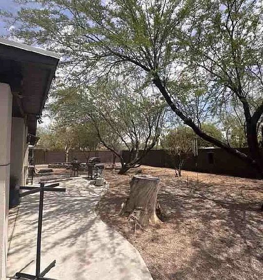 810 E Friess Dr — Photo 21