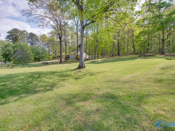 Willow Beach Rd, Guntersville, AL 35976