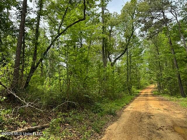 1st image of 104 Homochitto National Forest Rd