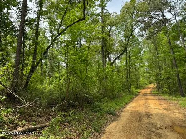 104 Homochitto National Forest Rd, Meadville, MS 39653