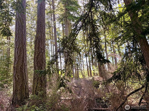 4th image of 0 Old Cedar Lane
