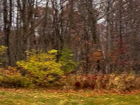 LOT 11 Wilderness Hills Ln, Luck, WI 54853