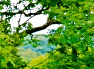 11827 State Highway 125 S, Chadwick, MO 65629