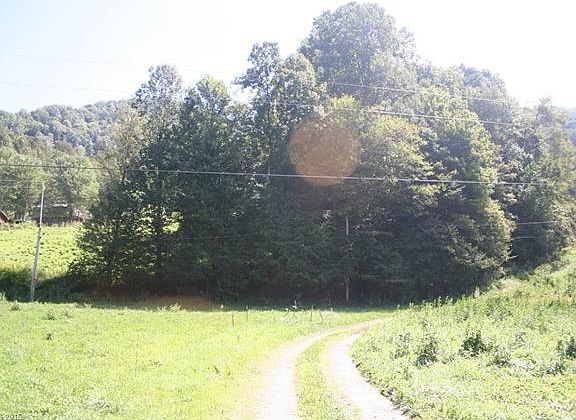 4th image of 41 Roberts Branch Ln
