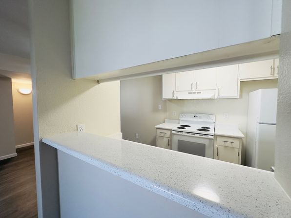 5697 Jacquiline Way APT 58