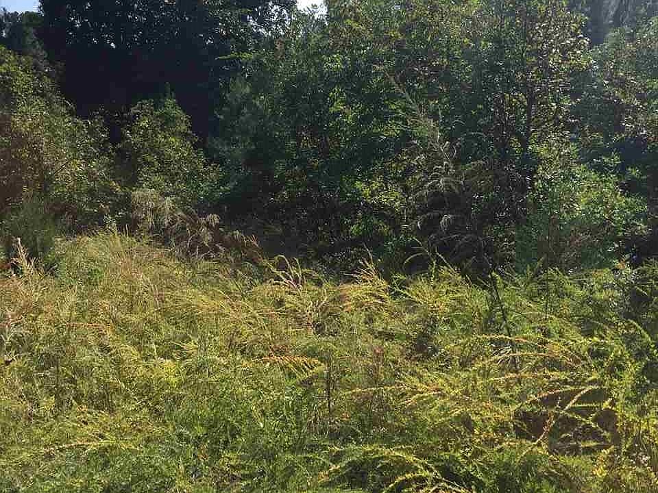 2nd image of 4000 Forrestdale Dr