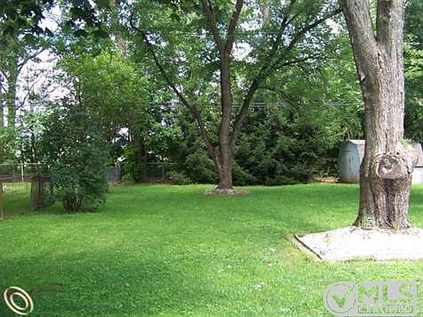 JAMES BACKYARD.jpg