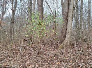 0 Jack Run Rd, Bridgeport, WV 26330