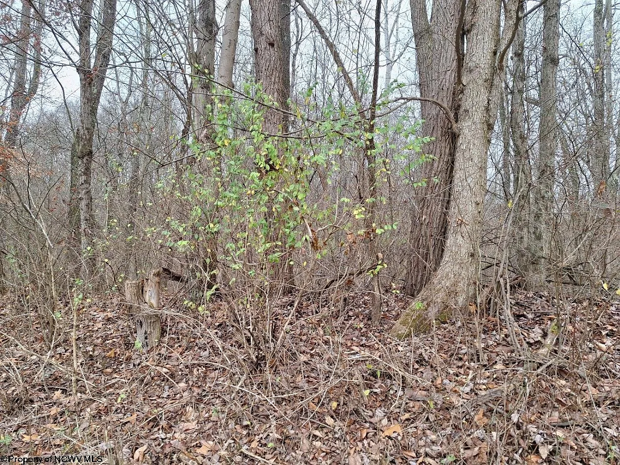 0 Jack Run Rd photo 1