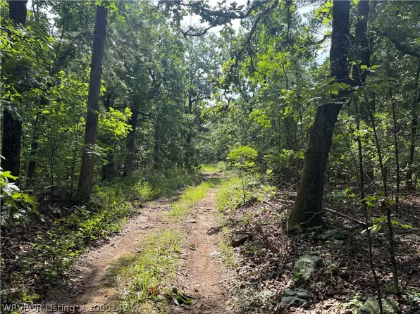 Buffalo Mountain Rd, Talihina, OK 74571