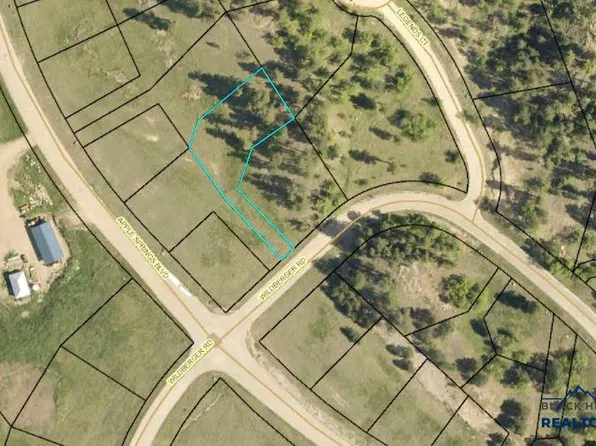 20 Apple Springs Blvd, Sturgis, SD 57785
