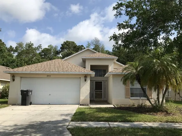 12533 Sparkleberry Rd, Tampa, FL 33626