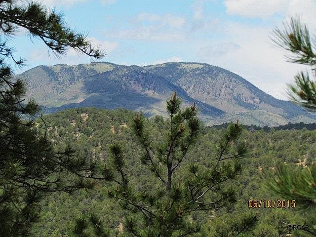 1st image of 694 Pine Vis S