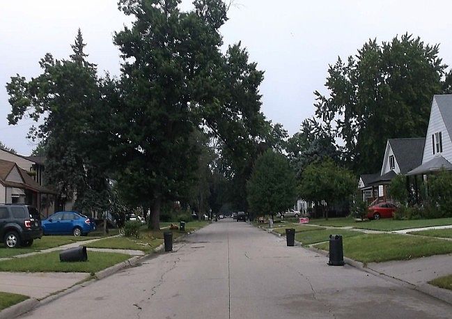 2nd image of 15392 Norborne