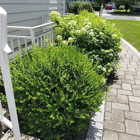 7 Lindley Ave #B — Photo 25