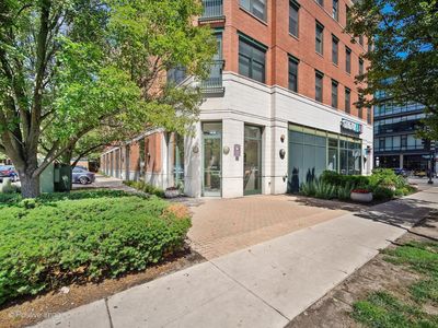 125 N Euclid Ave APT 204, Oak Park, IL, 60301