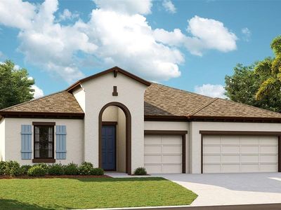 5169 Wildwind Dr, Apollo Beach, FL, 33572
