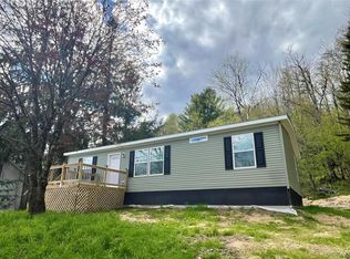 317 Debruce Rd, Livingston Manor, NY 12758