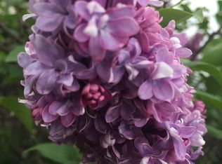 3865 Pattison St, Eugene, OR 97402