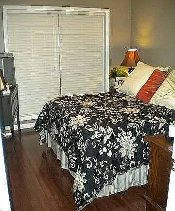 3rd image of 2919 Palomino Dr