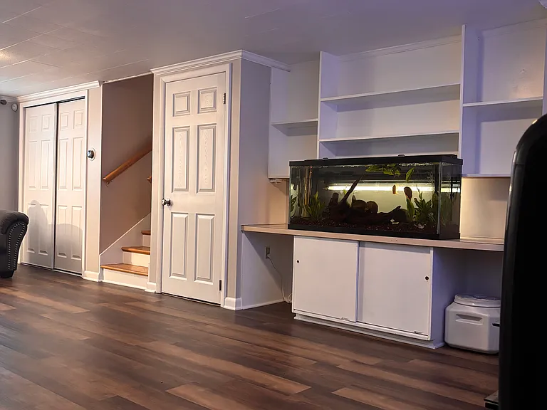 Lower level family room