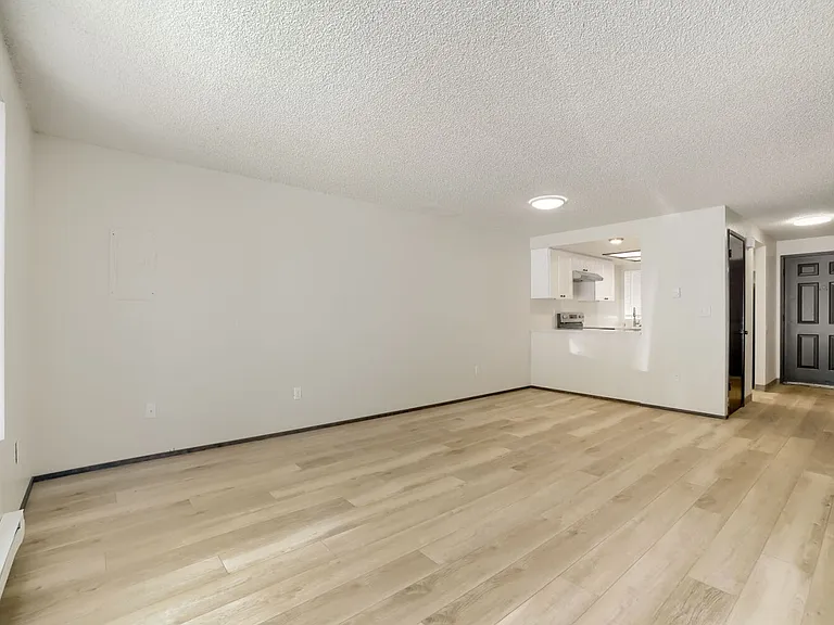 6911 Rainier Dr #7 — Photo 3
